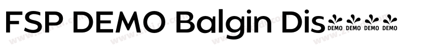 FSP DEMO Balgin Dis字体转换